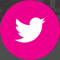 logo tweeter