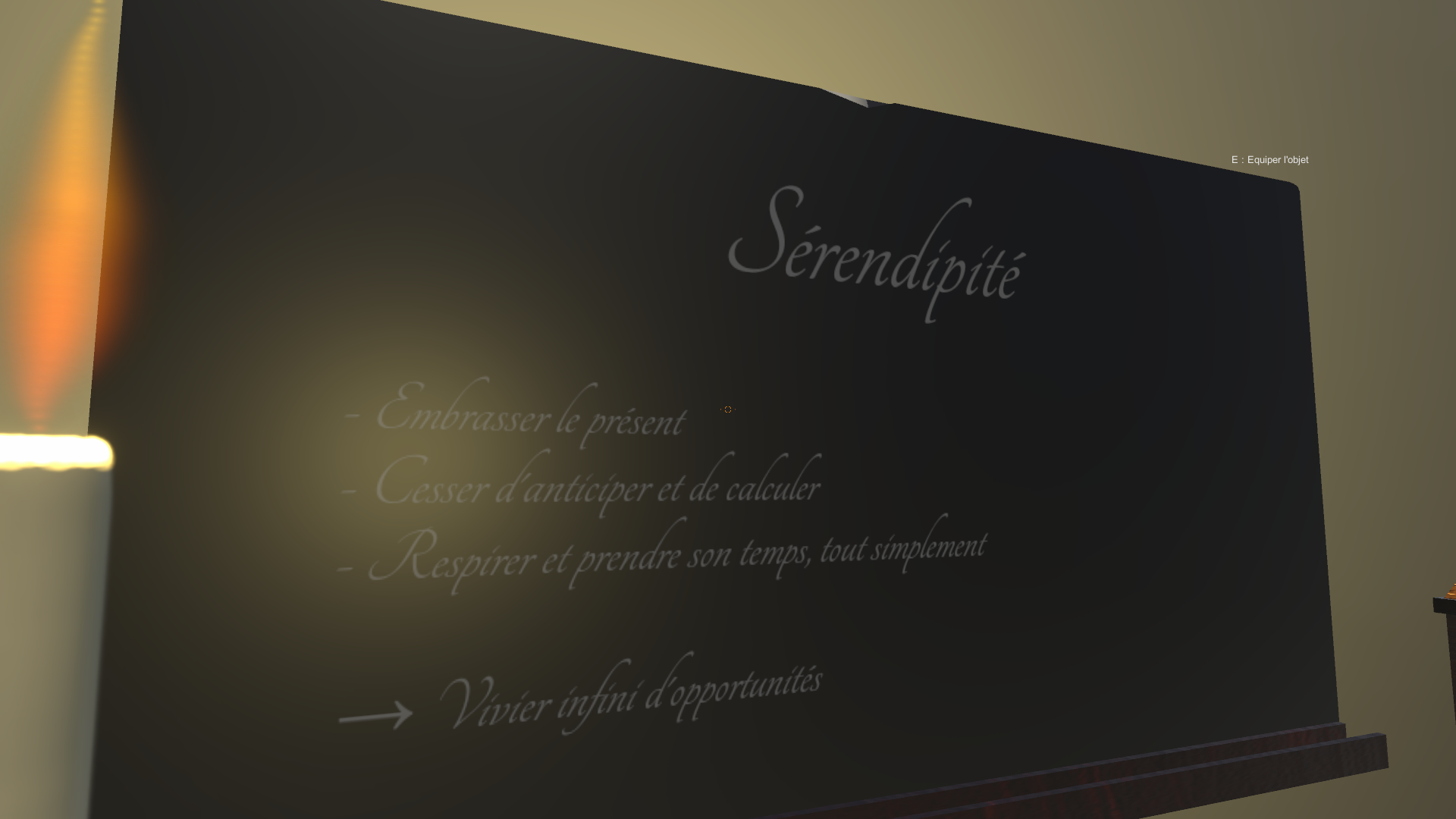 Libragora - La Sérendipité